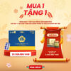 Thien sam 900 v